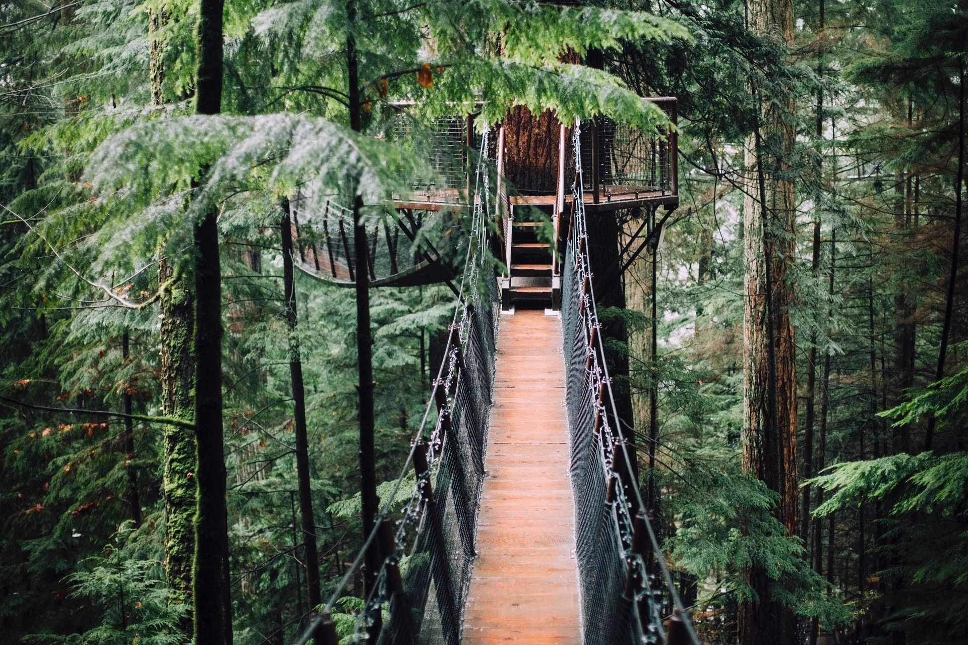 10 Best Tree House Rentals in Tennessee