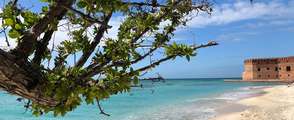 5 Can’t-Miss Activities at Dry Tortugas National Park