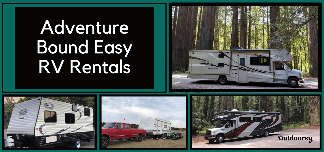 Owner of the Week: Michelle Ellsworth